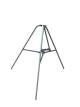 Նկար 